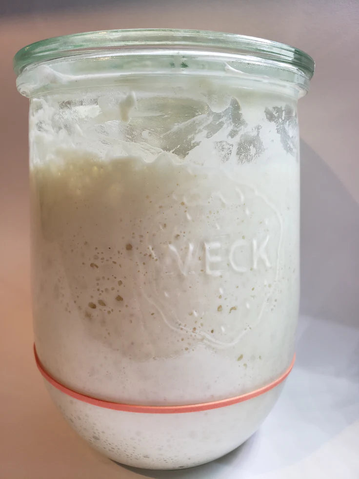 Sourdough Starter